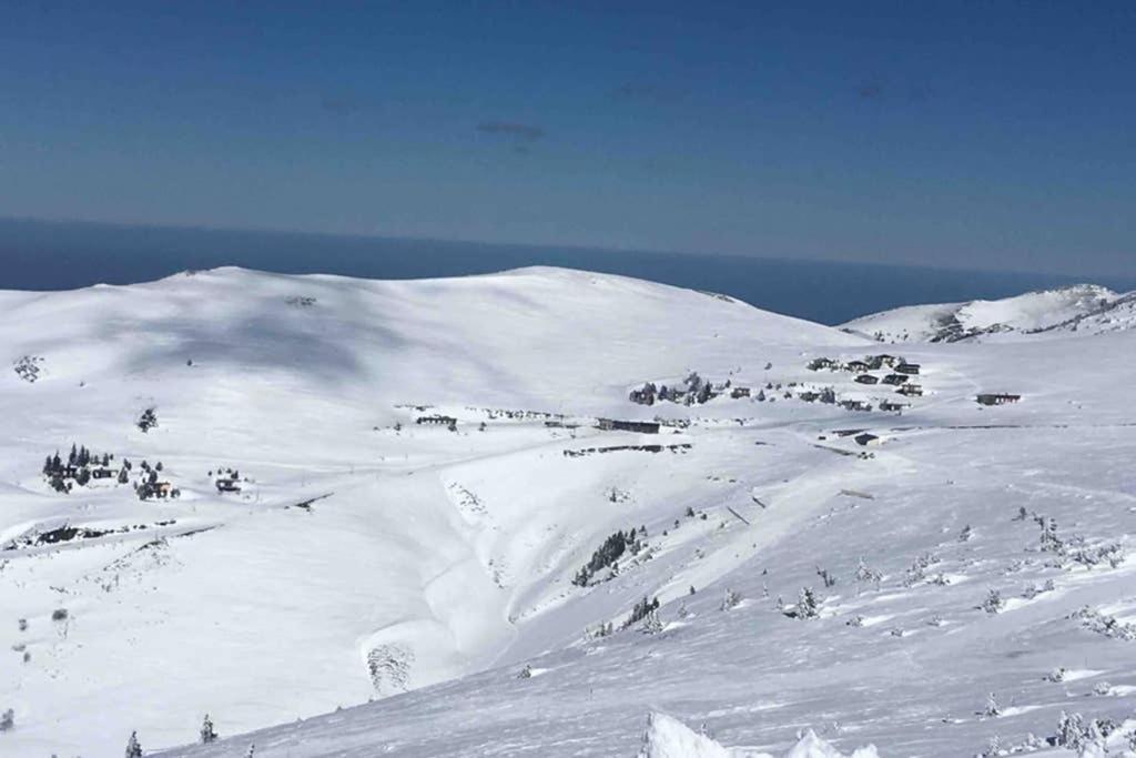 Chalet Ascou-Pailheres Bagian luar foto
